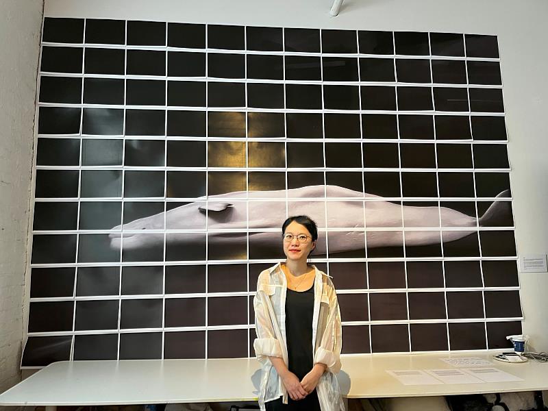 藝術家徐思穎以白鯨「天使」為出發點，探討遷徙、圈養與生態倫理（駐紐約臺北文化中心提供）