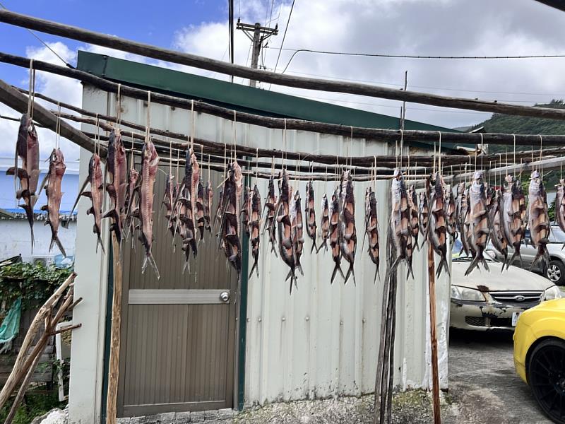 踏上蘭嶼 探索雅美(達悟)族飛魚祭(季)的神秘魅力(照片由臺東縣府提供)