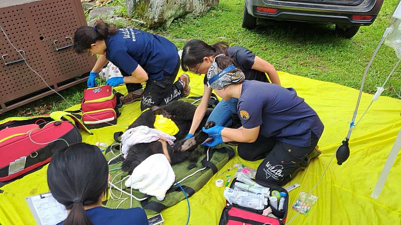 野灣團隊現場緊急醫療處置