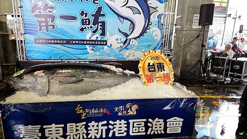 黑鮪魚季報到 臺東今年首頒20萬獎金 饒慶鈴主持第一鮪拍賣 以41萬餘元標出