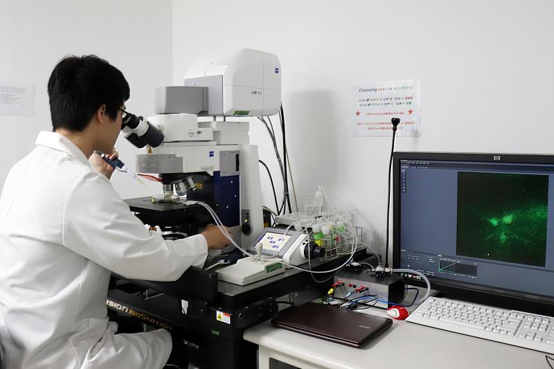 長庚大學吳嘉霖教授團隊運用高解析顯微螢光設備，即時觀察活體果蠅神經元的活性變化。