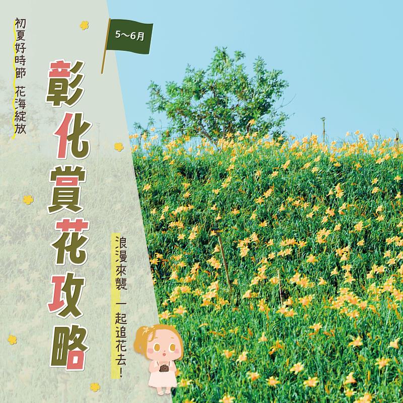 追花趣！彰化初夏多樣花卉接力綻放 花季浪漫啟程