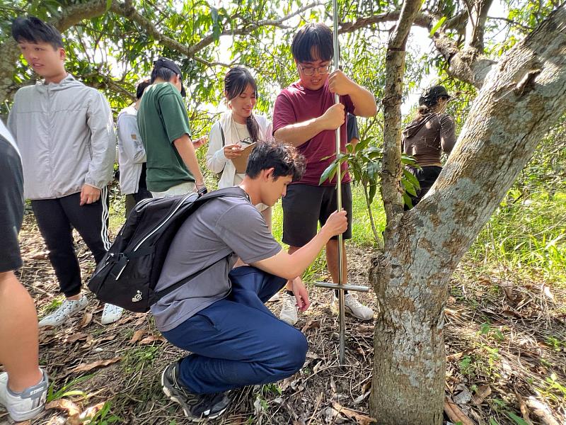 Professor Su’s team, in partnership with local Indigenous communities, carried out in-situ carbon sampling and KMGBF assessments in mangroves, secondary forests, and farmland in southern Taiwan