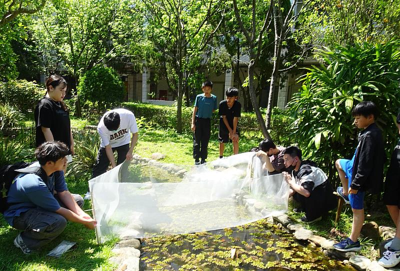 同學運用圍籬軟網打造鴨子專屬戲水空間