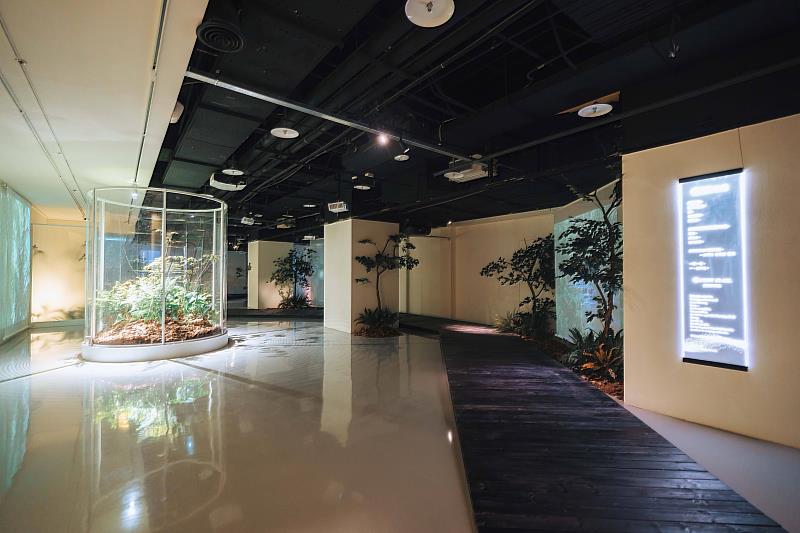 「光在萬物」特展的「萬物之光展區」，展現生命之間能量的流動與相互依存。（圖由世界宗教博物館提供）