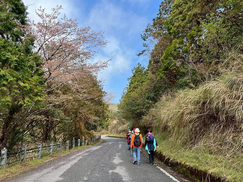 漫步在太平山中