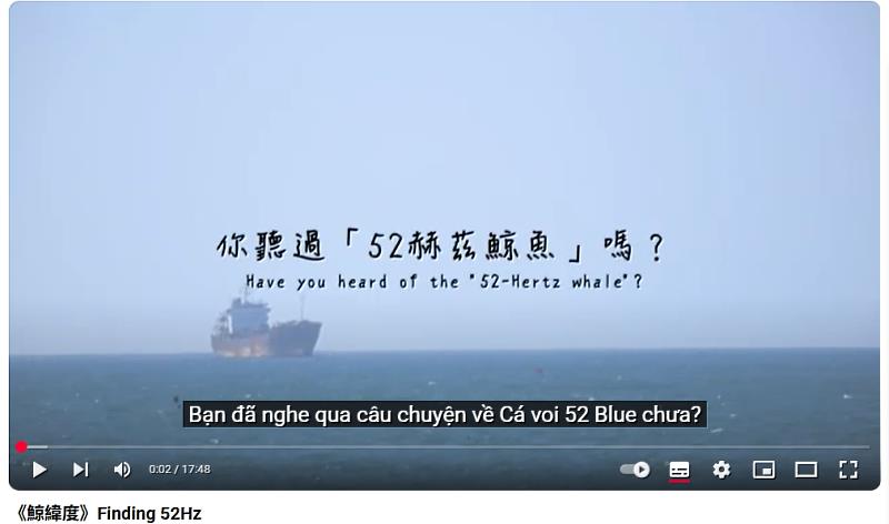 紀錄片《鯨緯度》由越南籍生導演韋美仙的親身經歷出發，藉由「52赫茲的鯨魚」作為隱喻，深刻描繪聽障者在日常生活中面對的孤獨與挑戰。<a href=
