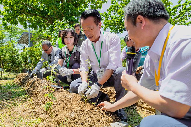 嘉義縣復育阿里山油菊 翁章梁帶領小朋友種下樹苗