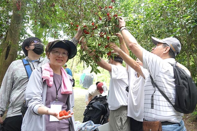 圖／中華大學土木工程學系陳湘媛教授（左）身兼計畫共同主持人，帶領大家進入棄耕茶園，認識多樣樹種植栽。