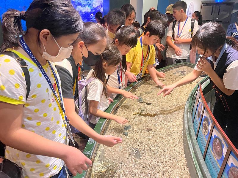 114年暑期與魚共舞夜宿海生館營隊活動