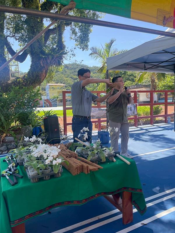 「生物多樣性國際日」 臺東縣府攜手台大與屏科大共同推動原生極危植物-白花蝴蝶蘭返鄉復育活動