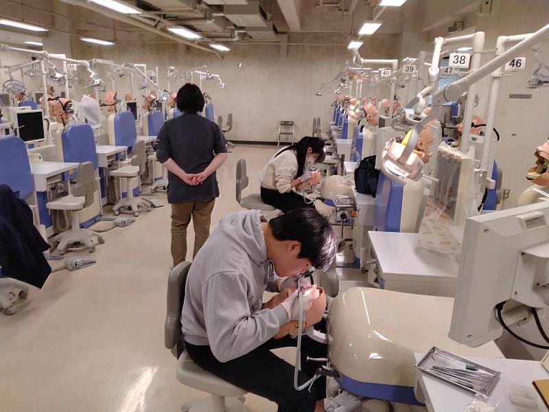 高雄醫學大學學生於日本鹿兒島大學進行牙科模擬練習