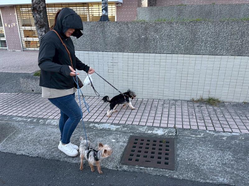 繫妥狗繩 帶上狗便撿拾器 隨手清狗便 做個遛狗模範生 共同維護臺東的好環境