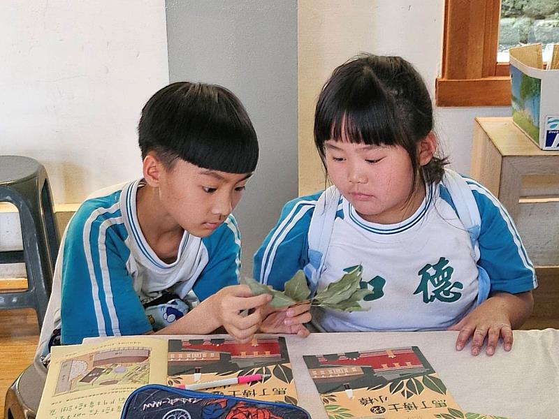 德和國小同學進行樟腦葉認識活動