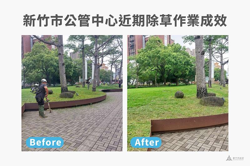 近期草木生長受氣候影響加劇　竹市公管中心強調例行作業未停歇、多點完成清整