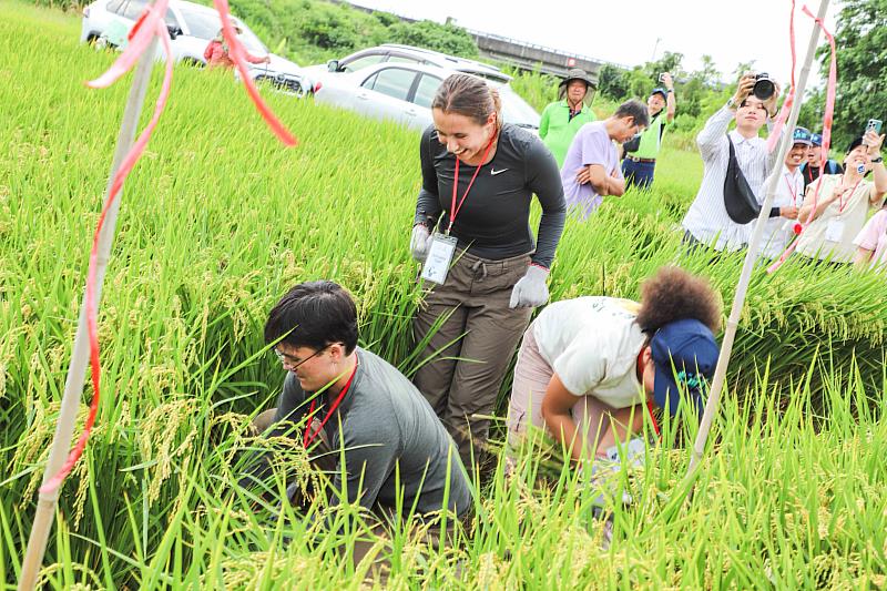 美國舊金山大學參訪團踏入嘉義田間，翁章梁熱情迎接-1