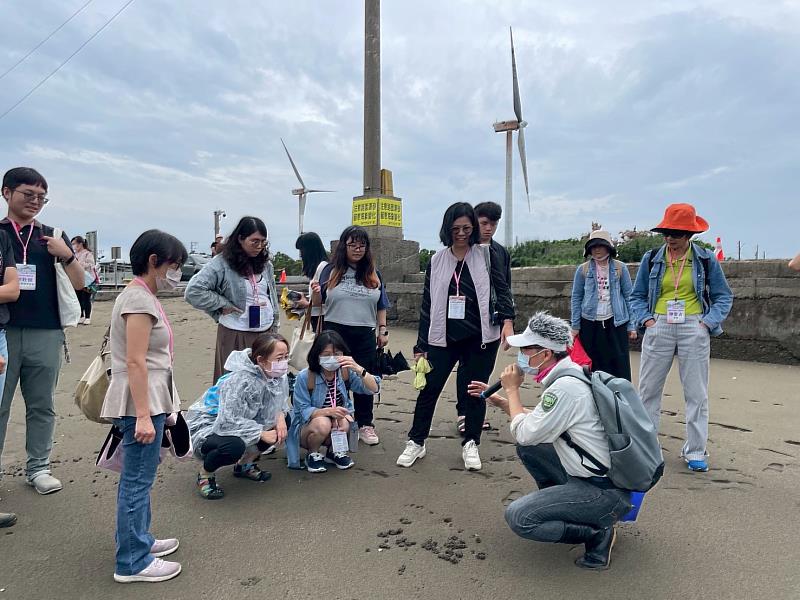 進入香山濕地近距離觀察潮間帶生物