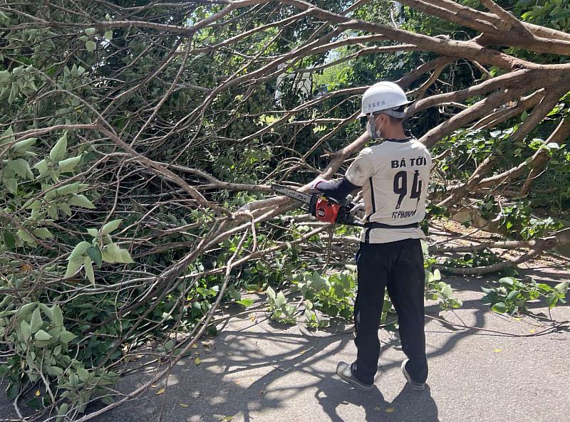 工務處公管中心人員針對公園、道路二側有傾倒疑慮及已傾倒路面影響交通的樹木，已機動調派人力優先進行修剪。