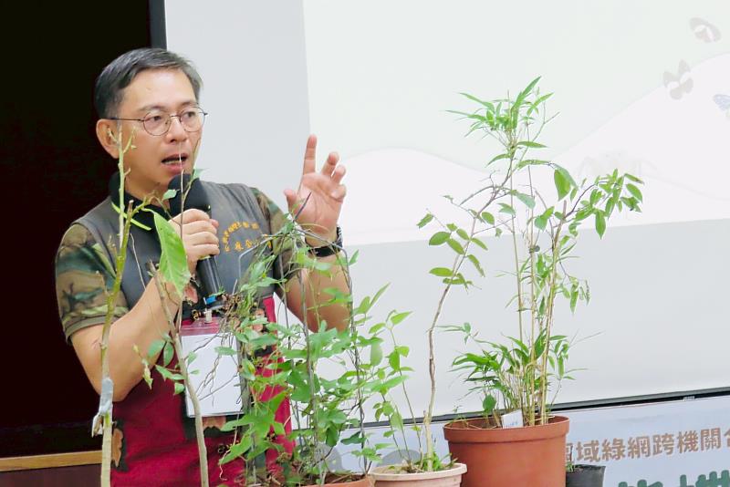 台灣紫斑蝶生態保育協會廖金山理事介紹10數種蝴蝶幼蟲的寄主植物。