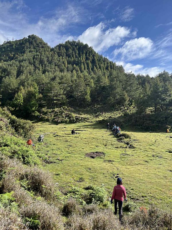 綠草如茵的沙武巒草原