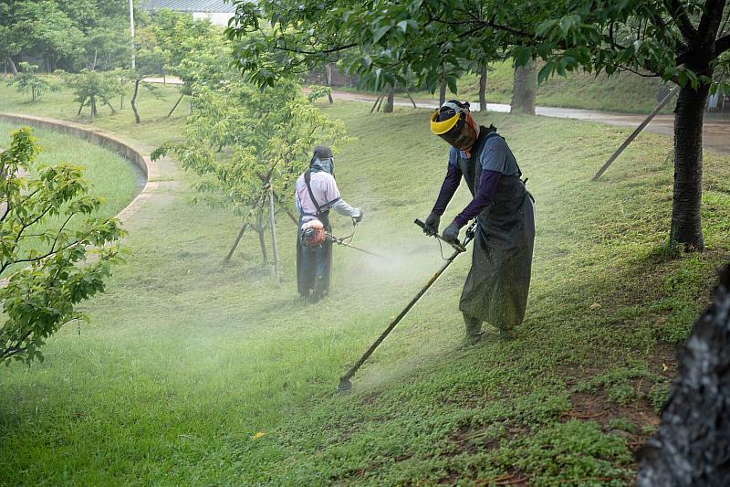 除草作業