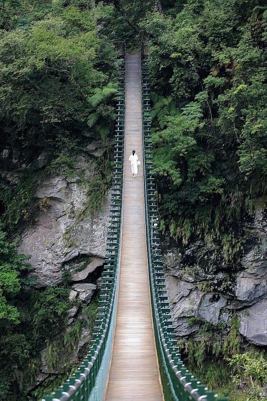 富源森林遊樂區龍吟吊橋(雪羊拍攝)