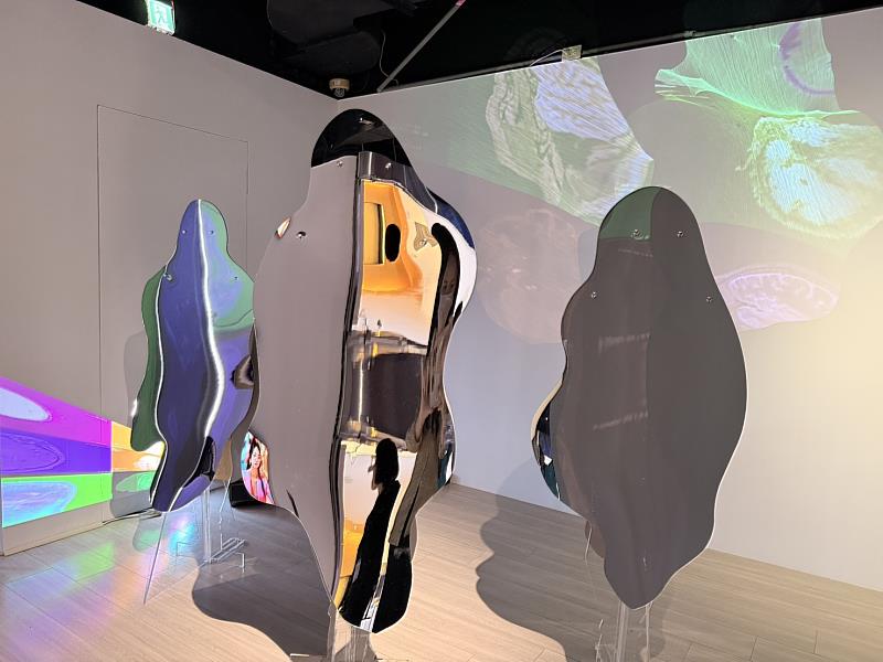 往年申請展展出-藝術家林月霞《微膠細胞失序》