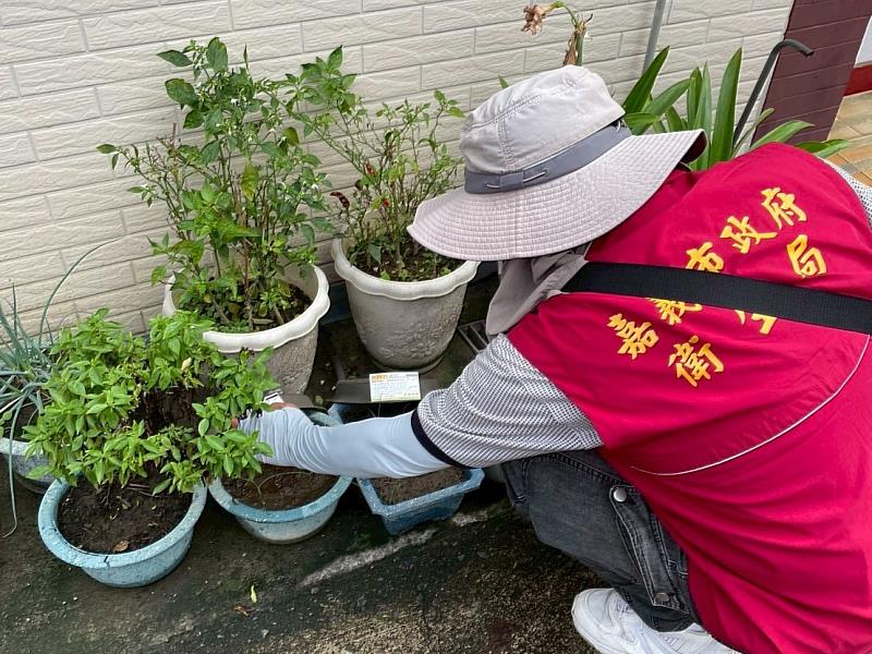 嘉義市祭出登革熱公告,籲請市民落實「巡、倒、清、刷」