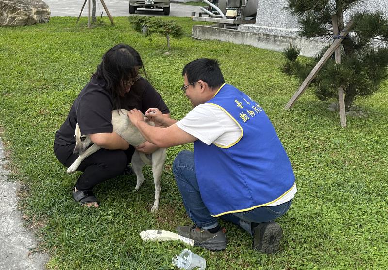 飼養貓強制辦理寵物登記 符合室內飼養 得免注射狂犬病疫苗