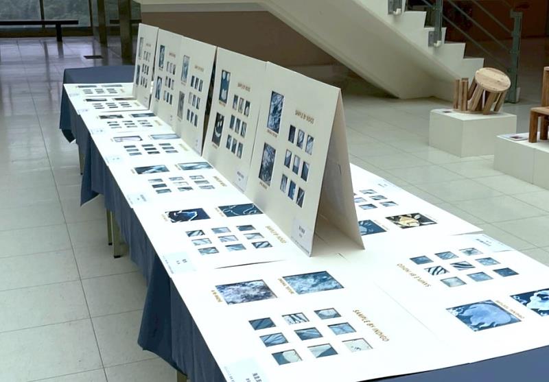 廖柏晴老師創新結合AI技術,將學生的藍染成果轉化為AI再創作品。