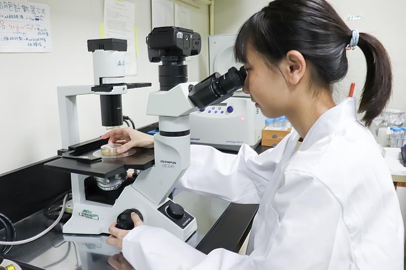 梅雅俊副教授團隊長時間投入培養、觀察細胞，成功修護兔子視力。