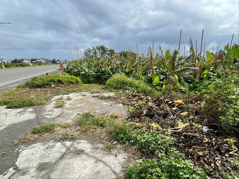 臺東環保局籲定期巡檢清理土地環境  垃圾不亂丟  疼愛臺東美麗的土地