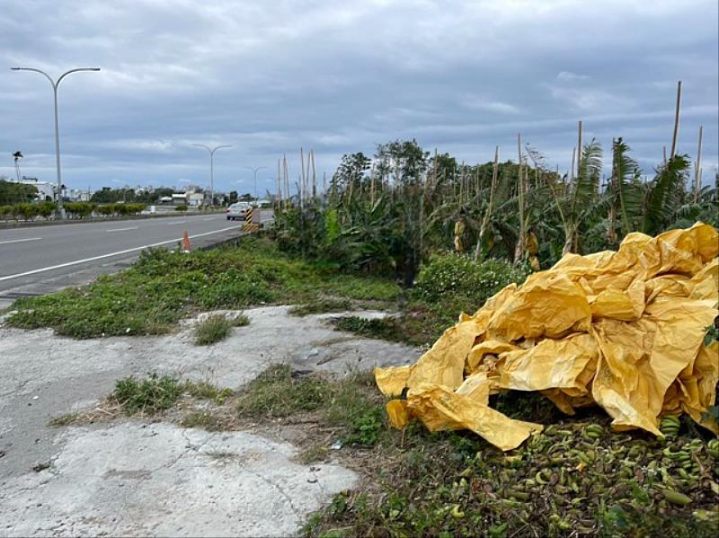 臺東環保局籲定期巡檢清理土地環境  垃圾不亂丟  疼愛臺東美麗的土地