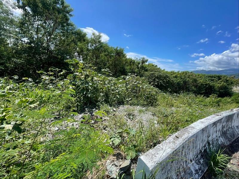 臺東環保局籲定期巡檢清理土地環境  垃圾不亂丟  疼愛臺東美麗的土地