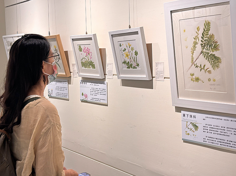 「2025全球植物學藝術大展-台灣場」展場情形_(頂新和德文教基金會提供)