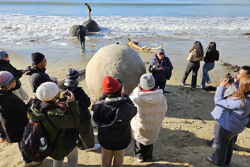 在摩拉奇圓石海灘,難大學生親見直徑可達兩米的巨型天然圓石,對其罕見的外型與成因產生高度興趣