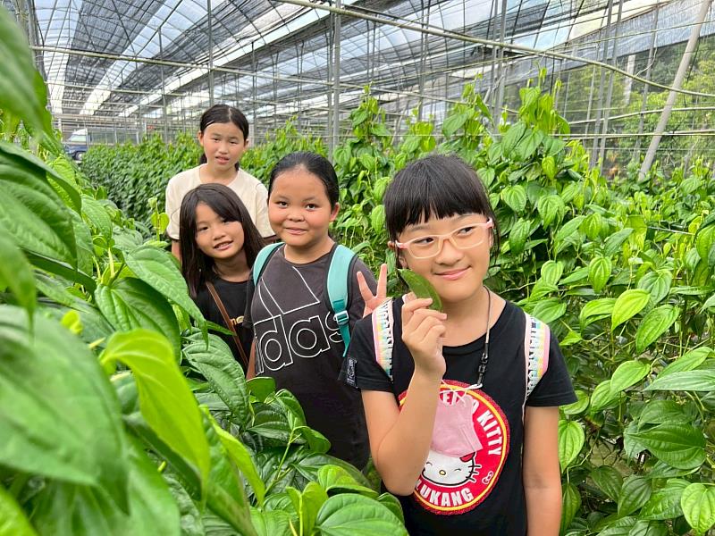 參觀荖葉園_(頂新和德文教基金會提供)