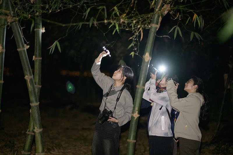 暑假來「嘉」探索！　嘉義市立博物館推《來嘉找蛙生態營》 歡迎國小學童踴躍報名參加 (活動資料照)