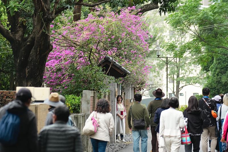 321巷藝術聚落即日起平日戶外午後開放,邀民眾漫遊古蹟綠意,感受時光疊砌的獨特紋理。