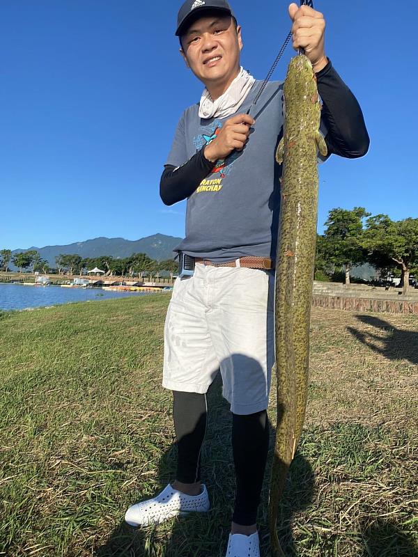 釣客釣到大型鱸鰻，也再度證明大坡池和海的洄游路徑未阻斷