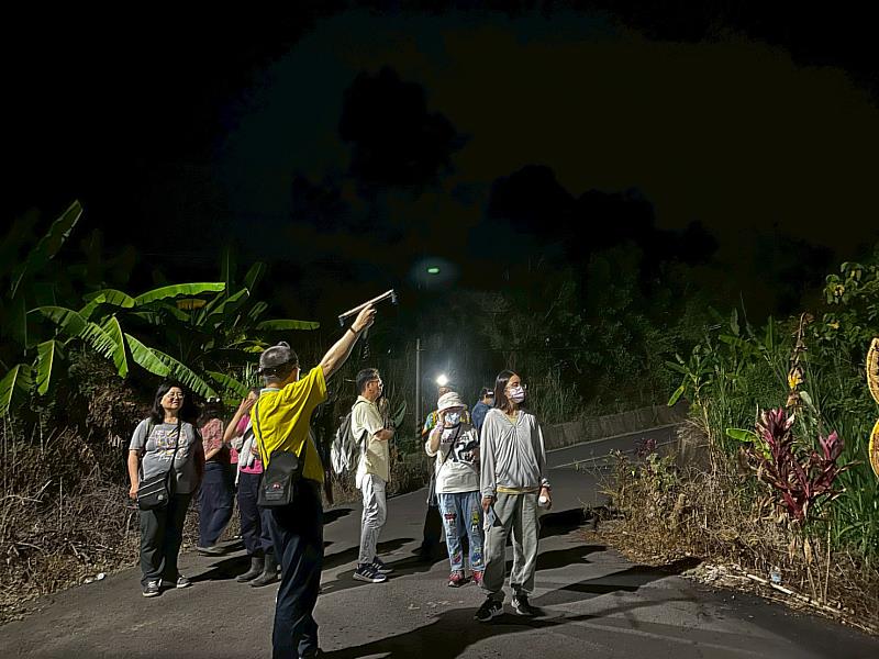 在馬頭山夜間生態探索