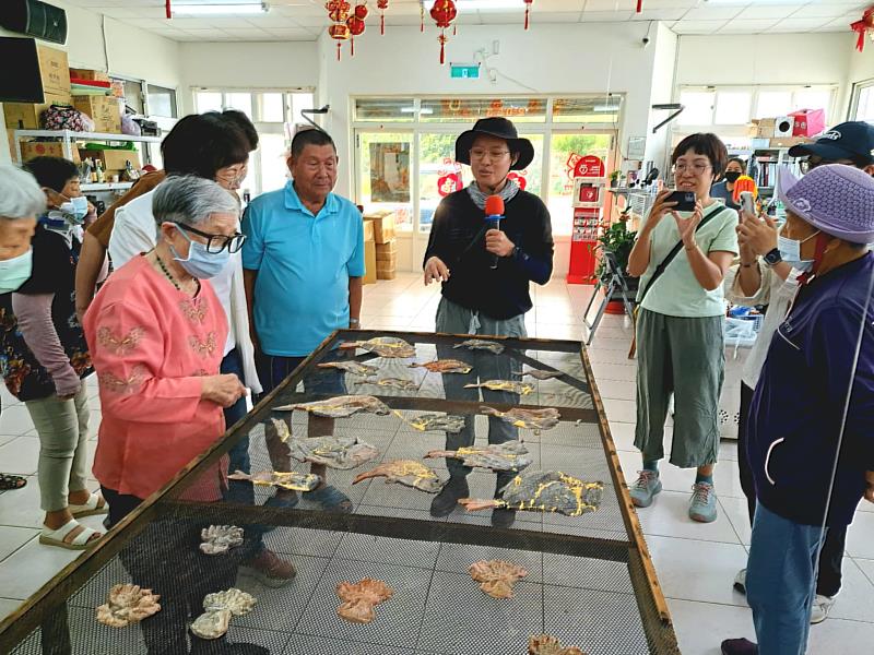 土土實驗工作室導覽作品「魚灶口的手路印記」
