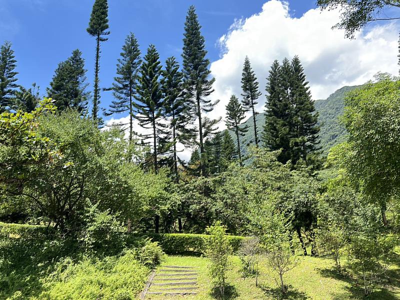 池南森林遊樂區自7月6日起休園