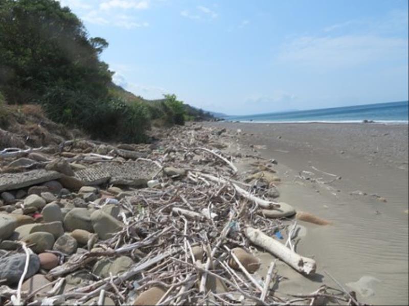 颱風災後海灘堆積漂流木狀況