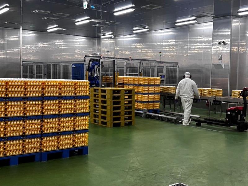 嘉義縣啟動蛋品稽查專案 強化源頭至市售食品安全