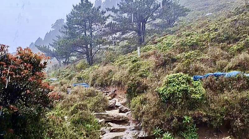 嘉明湖山屋旁步道滂沱大雨不停