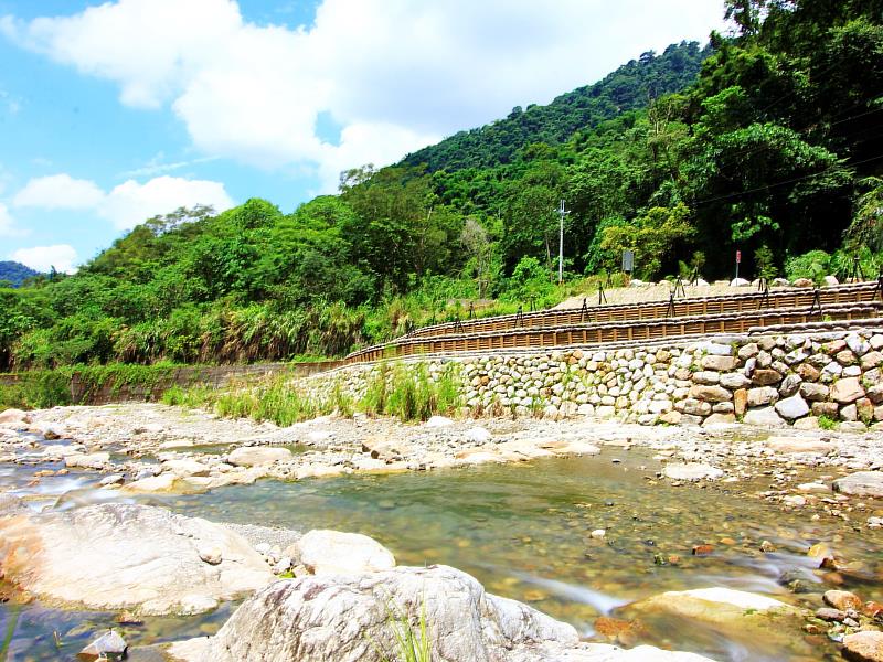 砌石護岸結合國產材木排樁護坡