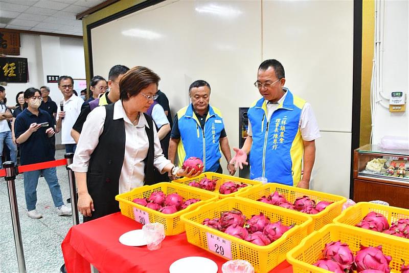 優質紅龍果評鑑