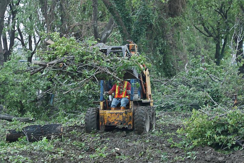 0_雲林縣政府工務團隊路樹移除過程 (2)