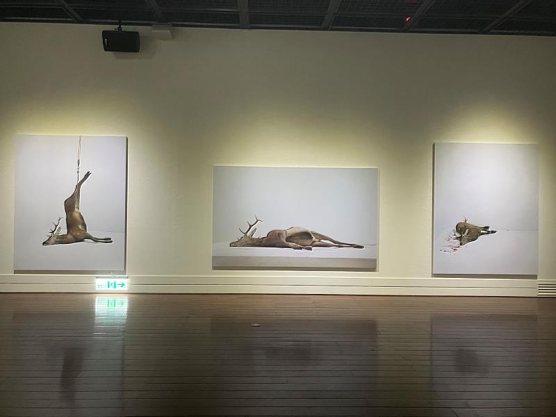 臺東美術館特展《你見過的風景我走過》閉展倒數 請把握最後觀展機會